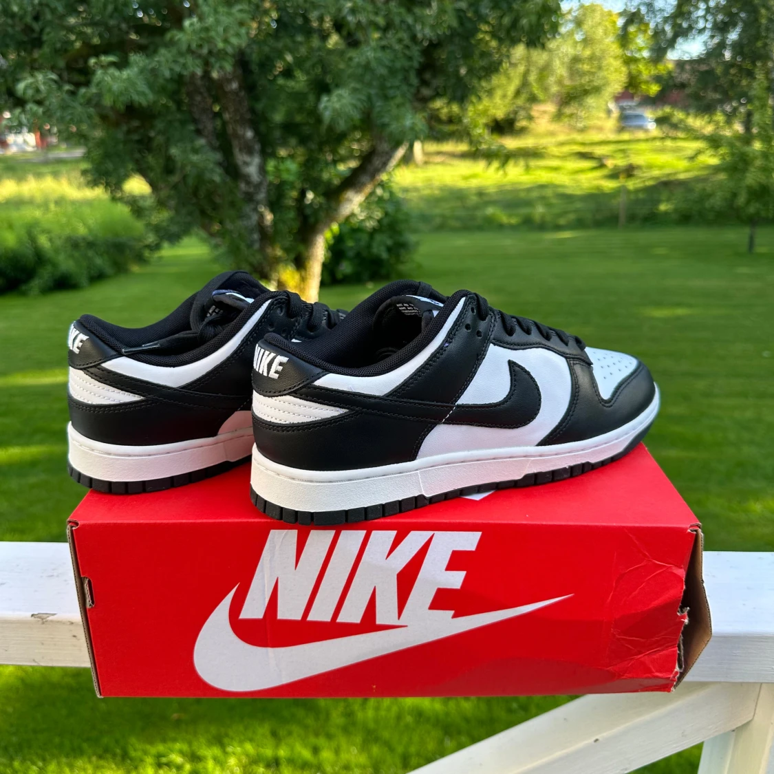 Nike Dunk Low Retro Panda - 1