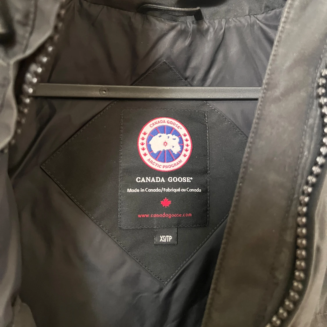 Canada goose - 90