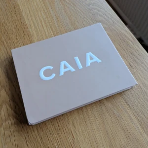 CAIA BIBBZ SIGNATURE PALETT - Endast swatchad på tre av färgerna med en ren pensel 