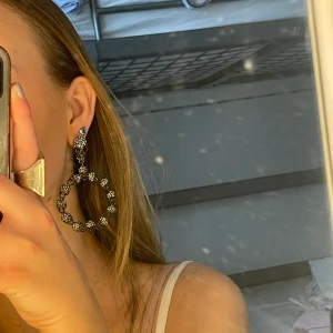 Runt skelet örhängen  - Köparen står för frakten, säljer för 150