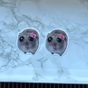 Meme hamster sticker - Söta klistermärken för 8 kronor styck! 🩷🎀 mängdrabatt: 5 st för 35, 10 st för 65. finns fler om det önskas! 🌸 4 cm stora Frakt: 18 kr (frimärke)