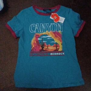 blue tshirt - Brand new blue tshit w print from cider fits as an XS 