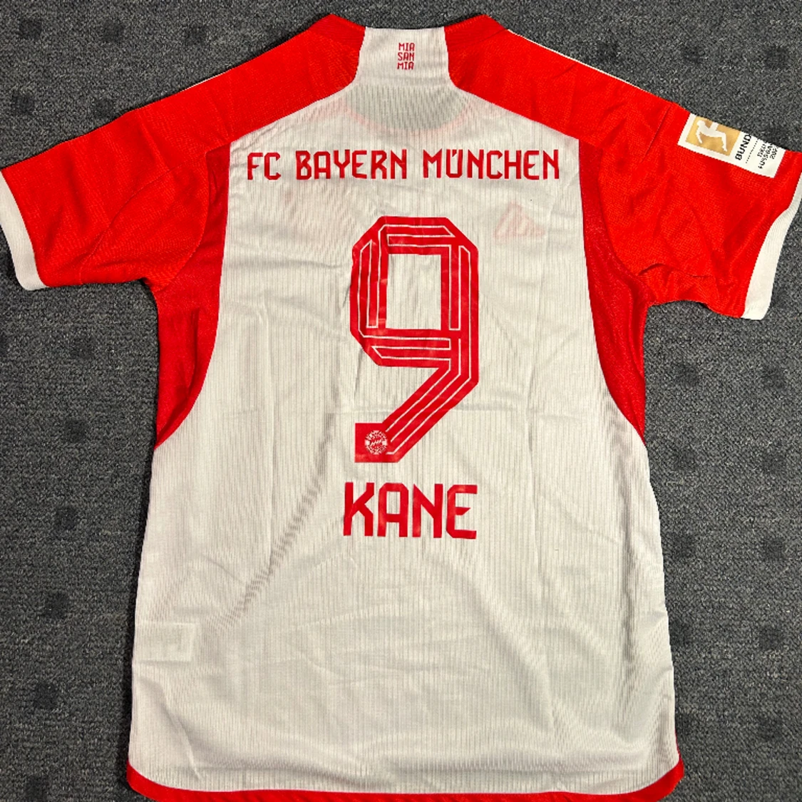 Bayern München Kane Hemmatröja år 2023/24