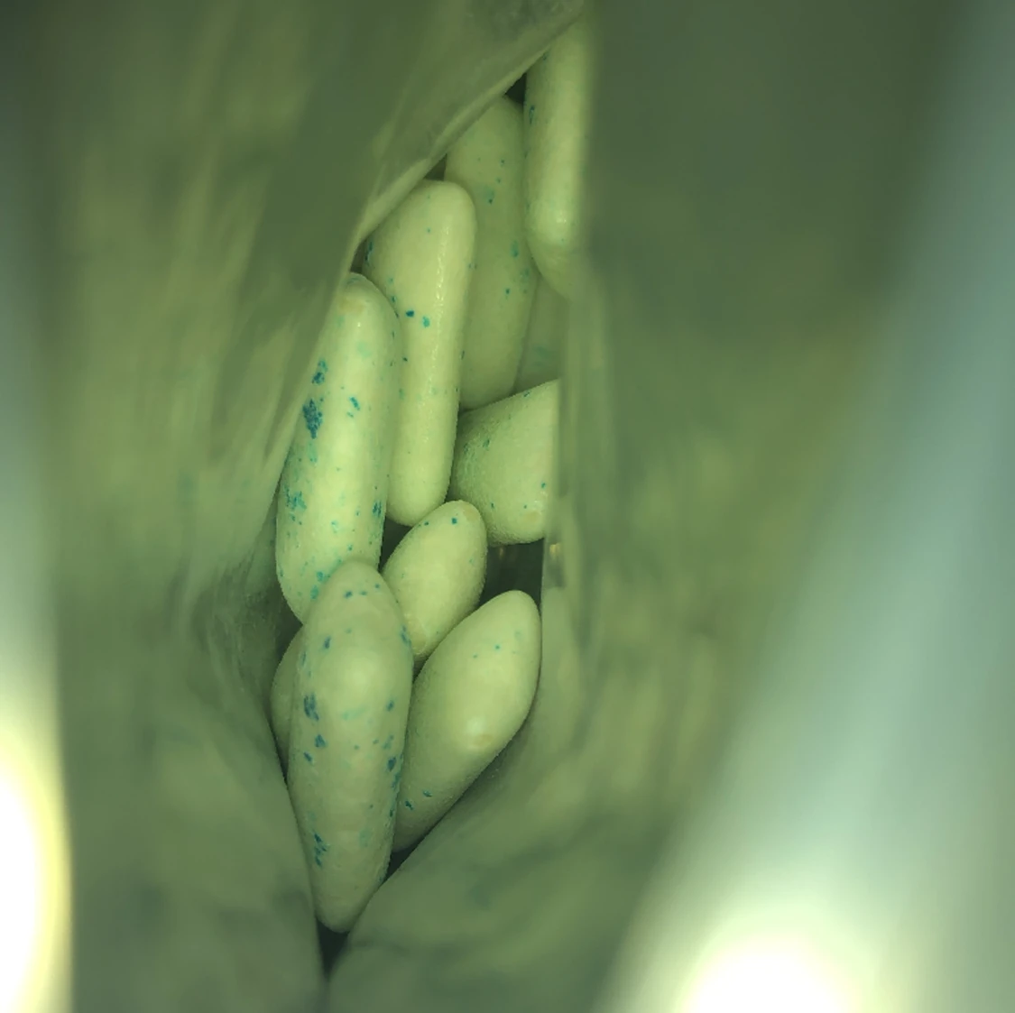 Begränsad utgåva tuggumi - 91