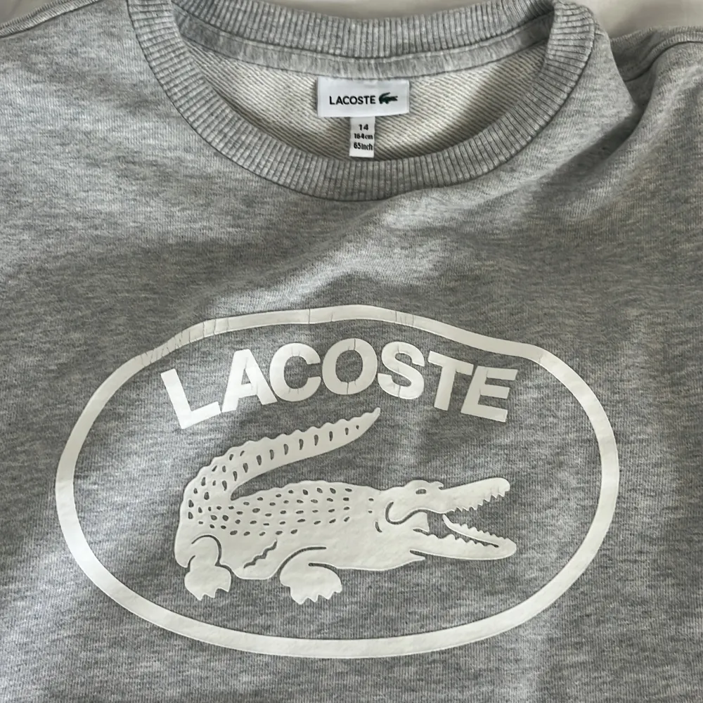 Hej säljer min Lacoste tröja i fint skick  eftersom den är förliten kontakta om du har frågor eller är intreserad . Hoodies.