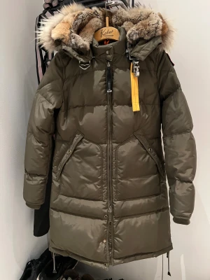 Olivgrön dunjacka från Parajumpers - Parajumper Long Bear grön stl M. I gott skick! 