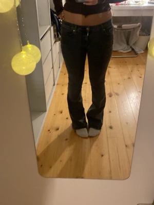 Bootcut grå jeans med låg midja - Säljer ett par grå bootcut jeans med låg midja. Jeansen har klassisk femficksdesign, knapp och dragkedja framtill. Vilket ger en cool och avslappnad vibe. Jeansen är i storlek 36. Säljer pga att de tyvärr inte kommer till användning längre❣️kontakta vid fler frågor❣️