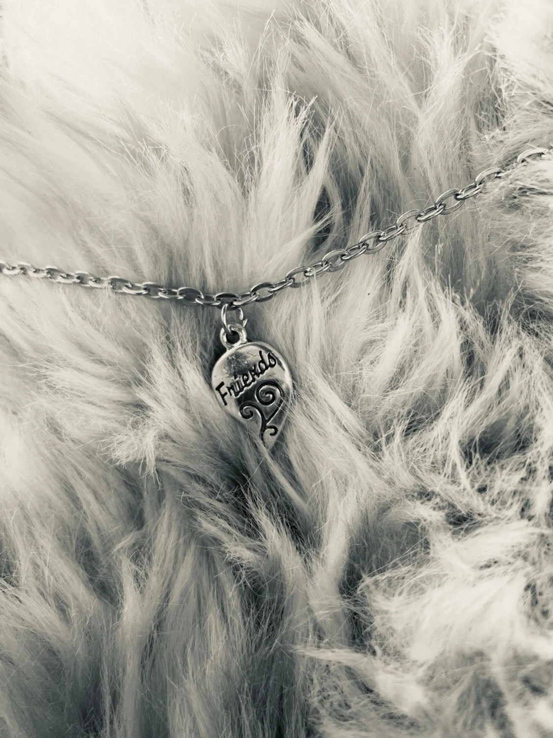 By prisförslag- halsband friends silvrigt Small för liten hund/katt  - 2