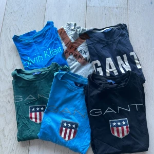 Märkes T-shirts - Bra skick, Calvin Klein 152/164, ljusblå Gant 158/164, resterande Gant 170