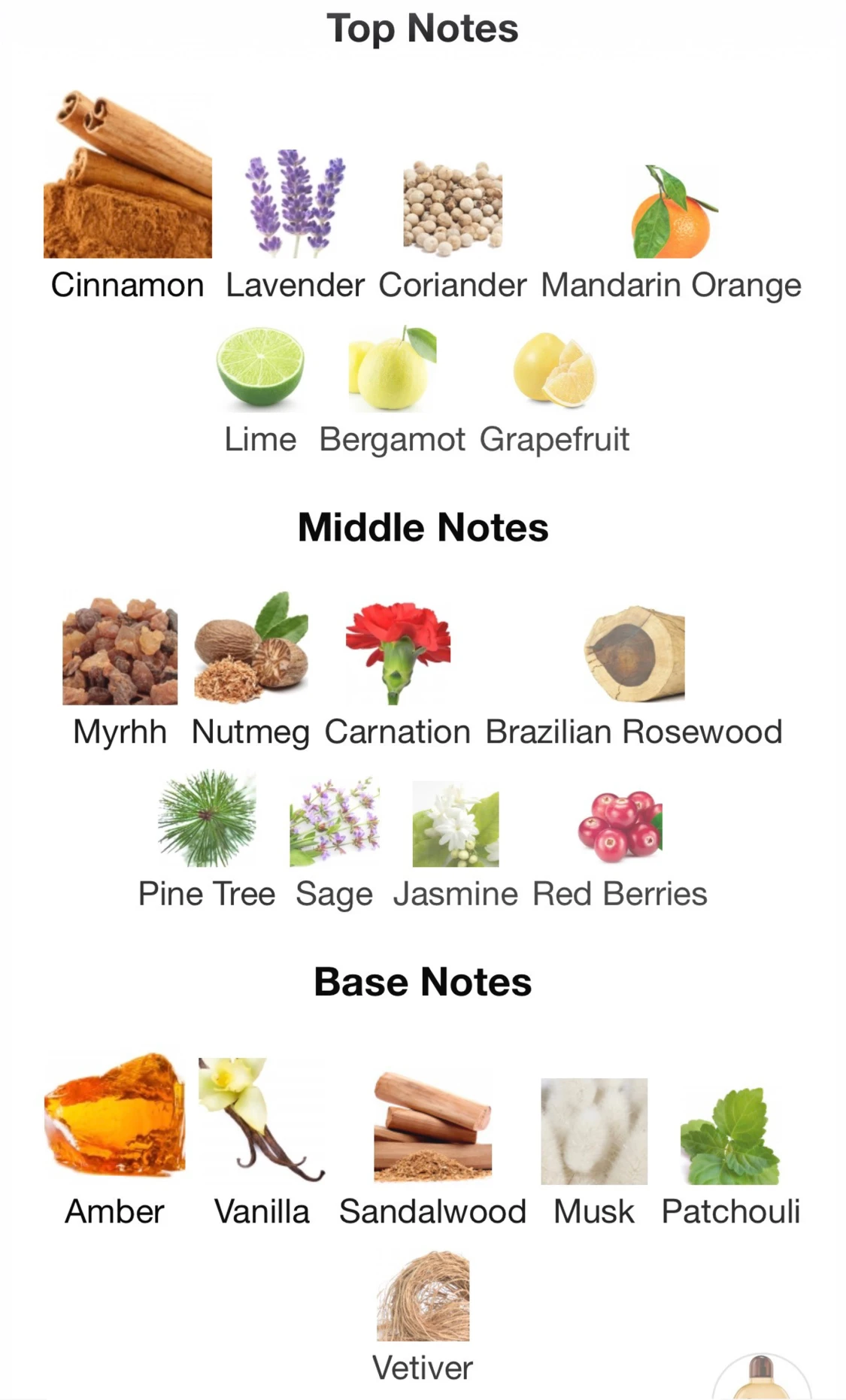 Calvin klein Obsession - 5