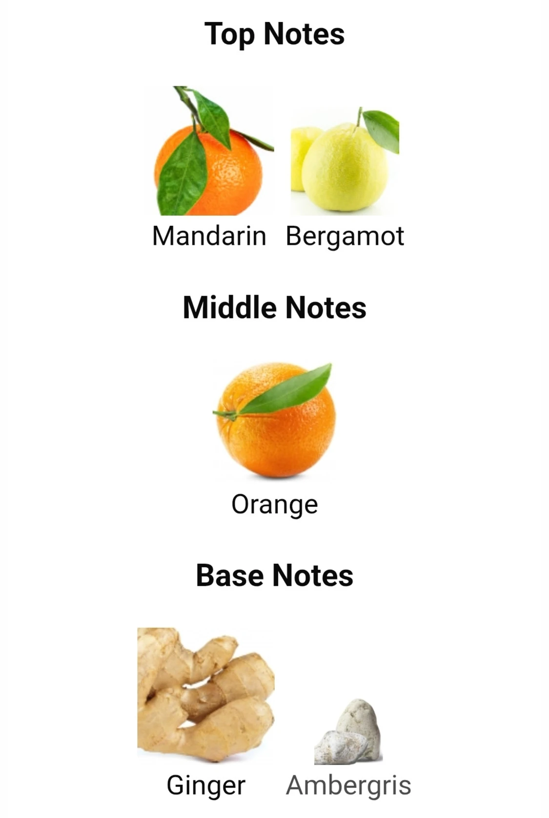 Jean Lowe Azure Eau de Parfum - 3