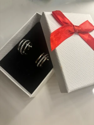 Örhängen  - Jätte fina och skinnande örhängen. Pris kan diskuteras 