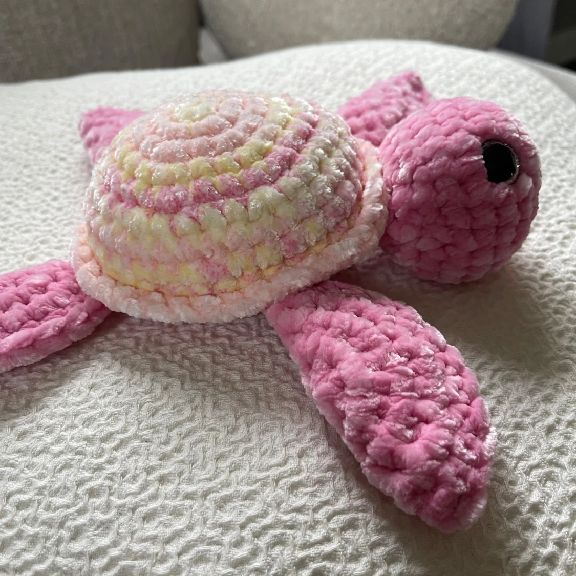 Virkad sköldpadda  - 1