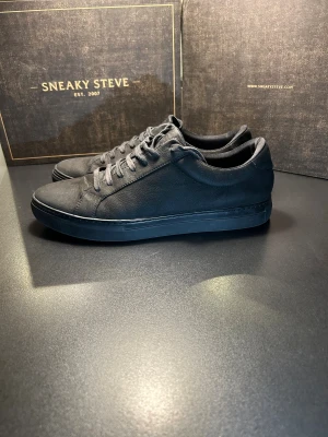 Svarta sneakers från vagabond  - Snygga svarta sneakers från vagabond med stilren design och platt sula. Skorna har rund tå, snörning och är tillverkade i skinn med en matt finish. Perfekta för dig som gillar minimalistisk look och vill ha ett par klassiska sneakers i garderoben.