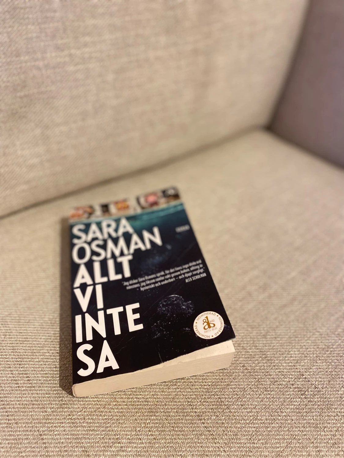 Allt vi inte sa - pocketbok 