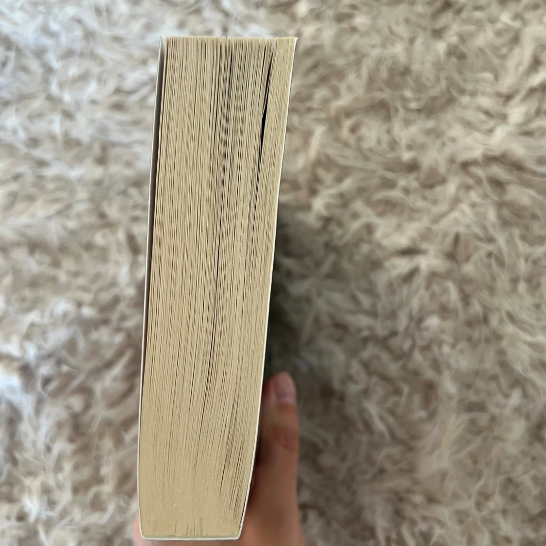 The Seven Husbands of Evelyn Hugo - 3