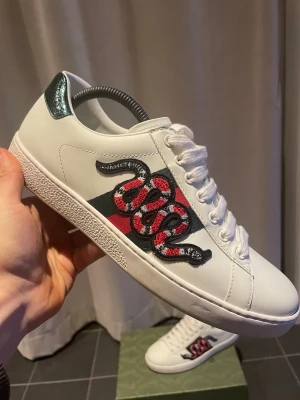 Gucci ace snake skor   - Gucci ace snake sneakers. Skorna är i absolut toppskick utan några synliga defekter. Skick ;9/10. Storlek 8=42 Nypris ligger runt 8000kr men säljs nu för ändast 2249kr. Hör gärna av er vid minsta lilla fundering! 