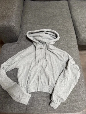 Grå croppad hoodie med dragkedja - Snygg ljusgrå croppad hoodie med dragkedja framtill och huva med dragsko. Hoodien har långa ärmar och bred resår i midjan samt vid ärmsluten. Den är från HM i storlek xs och inte andvänd alls många gånger.🤩