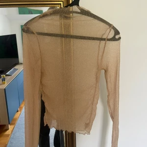 Glittrig beige mesh långärmad topp - Säljer en glittrig beige mesh topp med lång ärm och transparent material. Snygg till festligheter och perfekt till nyår!😉😉