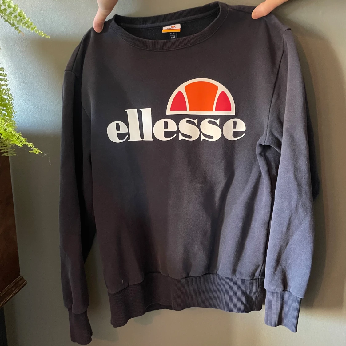 Blå sweatshirt från Ellesse