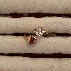 Rostfria ring  - Justerbar 