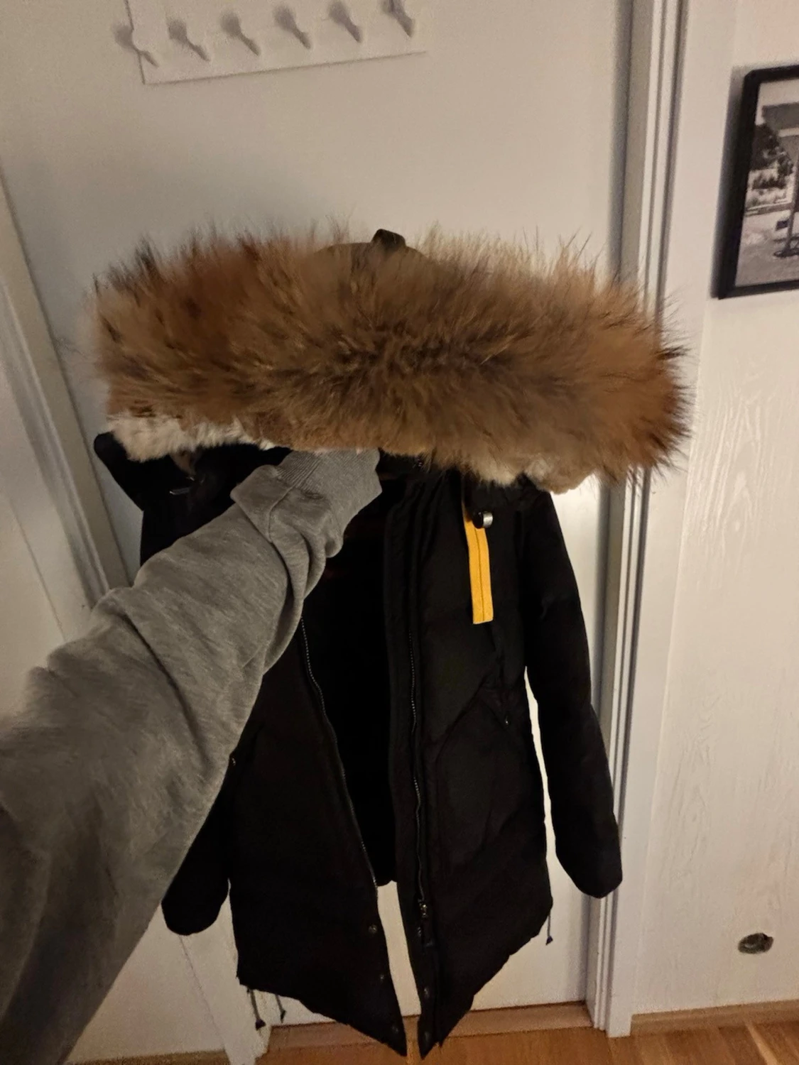 Parajumper longbear - 4