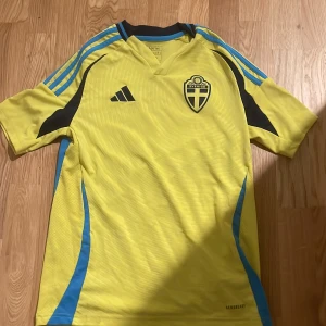 Svenska landslagets gulblå Adidas tröja - Gul fotbollströja från Adidas med blå detaljer och svarta inslag, officiell Sverige-emblem på bröstet och Adidas-logga. Tröjan har korta ärmar, blå ränder på axlarna och är tillverkad i lätt polyester för maximal komfort på planen.