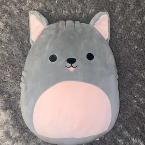 Squishmellow katt  - Bilderna visar en Squishmallows plyschkudde i form av en grå katt med rosa mage och öron. Produkten ser mjuk och välskött ut, utan synliga defekter eller slitage. Perfekt som mysig kudde eller samlarobjekt. Originaletiketten finns kvar.
