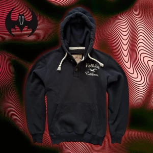 Svart Hollister hoodie tryck  - Svart hoodie med tryck och vit bodrad text på bröstet från hollister | Mycket bra skick | Size S recommended | Längd: 65cm Axelbredd: 45cm Armlängd: 64cm | Modell 162cm, 60kg