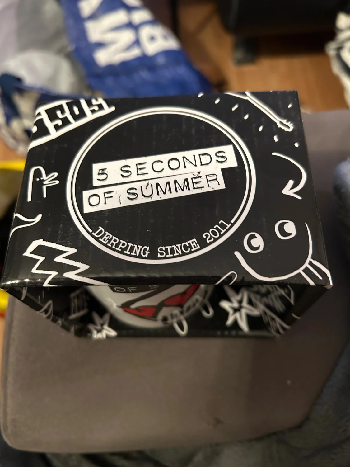 Porslinsmugg med 5 second of summer - 1