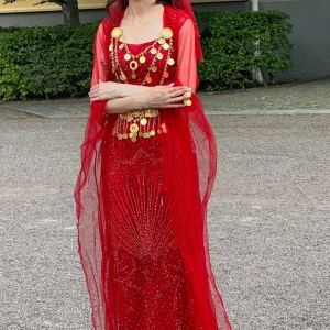 Kurdisk henna klänning  - Säljer henna klänning. Klänningen har ett långt släp med broderade mönster. Perfekt för dig som vill sticka ut på din henna dag festen! Det medkommer en slöja också. Smycken ej ingår. 