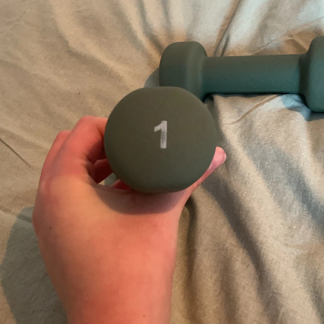 Söker rosa/lila/vita 1kg hantlar (par)  - 1