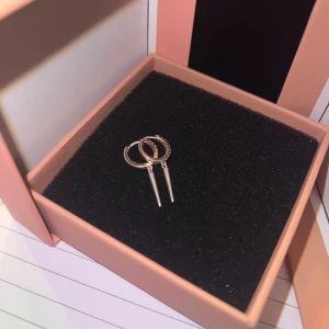 Spikörhängen - Säljer ett par snygga silverörhängen i form av små hoops med spetsiga hängen. De har en stilren och modern design.