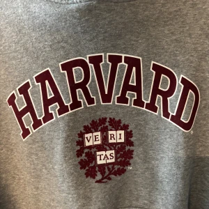 Grå Harvard hoodie med tryck - Säljer en grå hoodie med klassiskt Harvard-tryck i vinrött och vitt på bröstet. Tröjan har huva med snörning, stor magficka och ribbade muddar. Perfekt för dig som vill ha en chill och college-inspirerad look. Knappt ändvänd