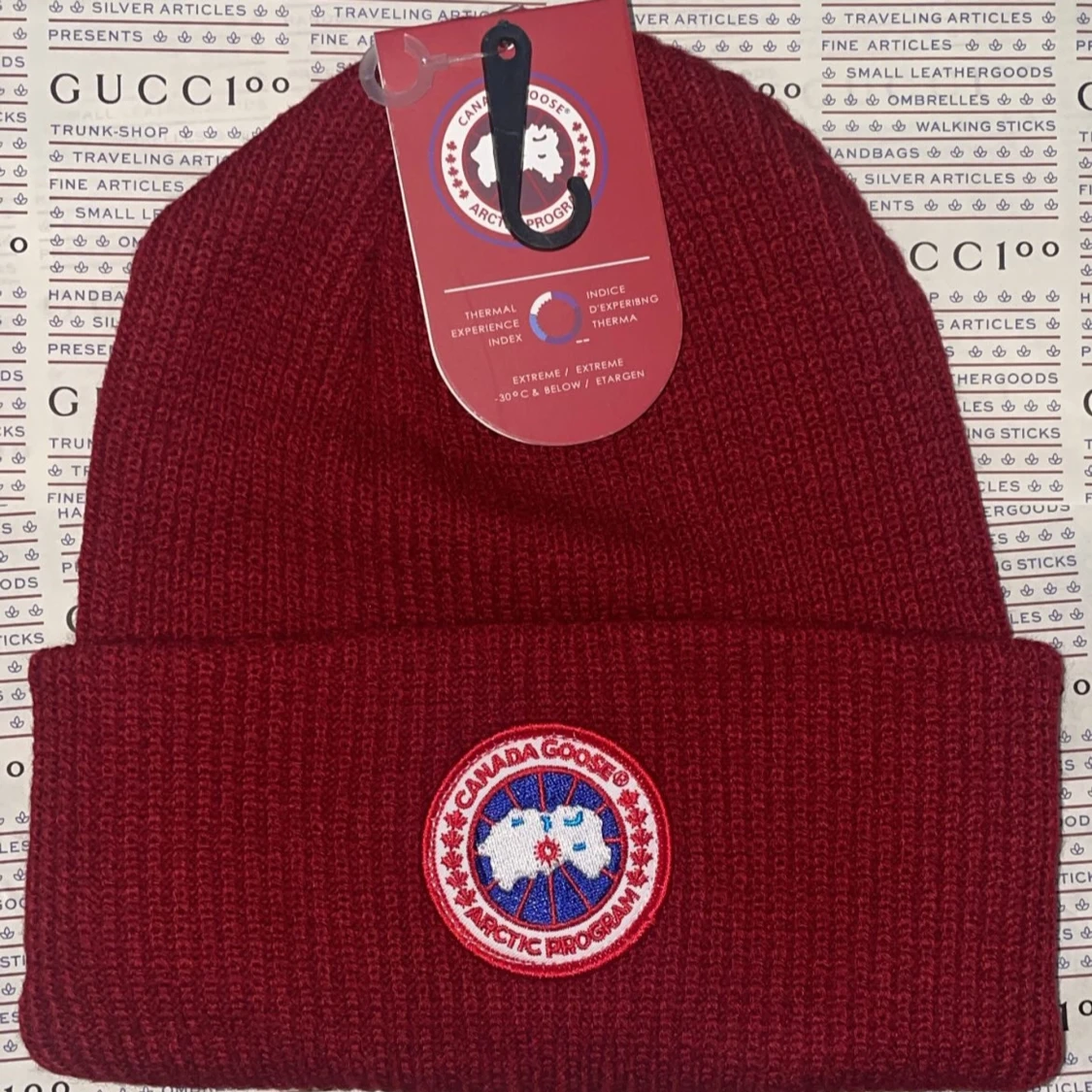 Canada goose vintermössa