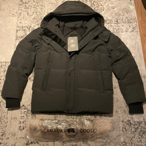 Grå dunjacka från Canada Goose - Helt ny Grå dunjacka från Canada Goose med huva och avtagbar pälsdetalj. Jackan har dragkedja och knappar framtill, två stora fickor och ribbade muddar vid ärmslut. Perfekt för kalla vinterdagar och har en clean, modern look. 