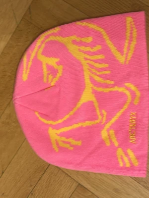 Rosa mössa från Arc'teryx - Säljer en snygg rosa mössa från Arc'teryx med gult dinosaurieinspirerat motiv och broderad logga. Mössan är tunn och stretchig, perfekt för dig som vill sticka ut med färg. Passar både till stan och uteliv.