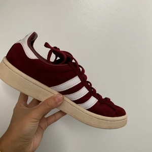 Adidas Campus str.39  - Sælges, da jeg ikke længere får dem brugt.