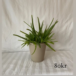 Kruka i beige 🤍 - Hej allihopa!✨ Vi är ett uf-företag som köper in inredningsdetaljer second hand för att göra om dom till en ny, modern produkt 🤍  Vi bidrar till en bättre miljö samtidigt som vi ger dig den där extra känslan i hemmet ✨🤍 frakt tillkommer.