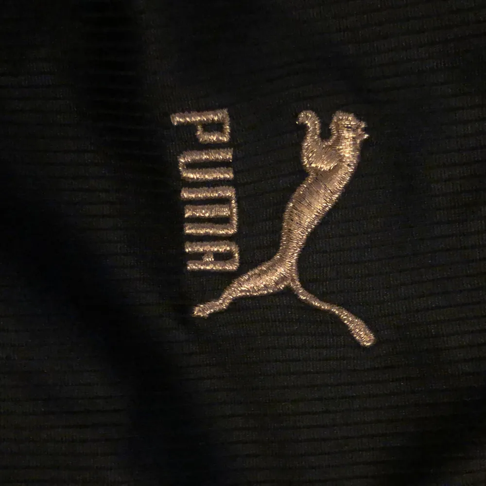 Jättefin magtröja från puma i träningsmaterial fint skick . Toppar.