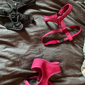 hund sele - hej jag säljer mina hund selar! då mina hundar blivit stora den första rosa är i stl L och den andra rosa (hutta) är i stl 60 cm medans den svarta ÄR SÅLD! jag tänkte lite budgivning med start på 100kr (utan frakt inräknad) så det är bara att skriva vad ni kan ge! 