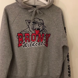 Grå Hoodie med tryck - Säljer denna Hoosiers som jag tyvärr har tröttnat på, den är använd men är ändå i bra skick. Strl s men skulle säga att den är ganska liten i storleken 