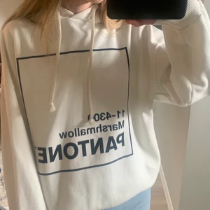 Jättefin hoodie - En jättefin hoodie från pull and bear som var limited edition. Säljer då den inte kommer till användning. Väldigt bra skick. Vid intresse: skriv till mig privat ❤️