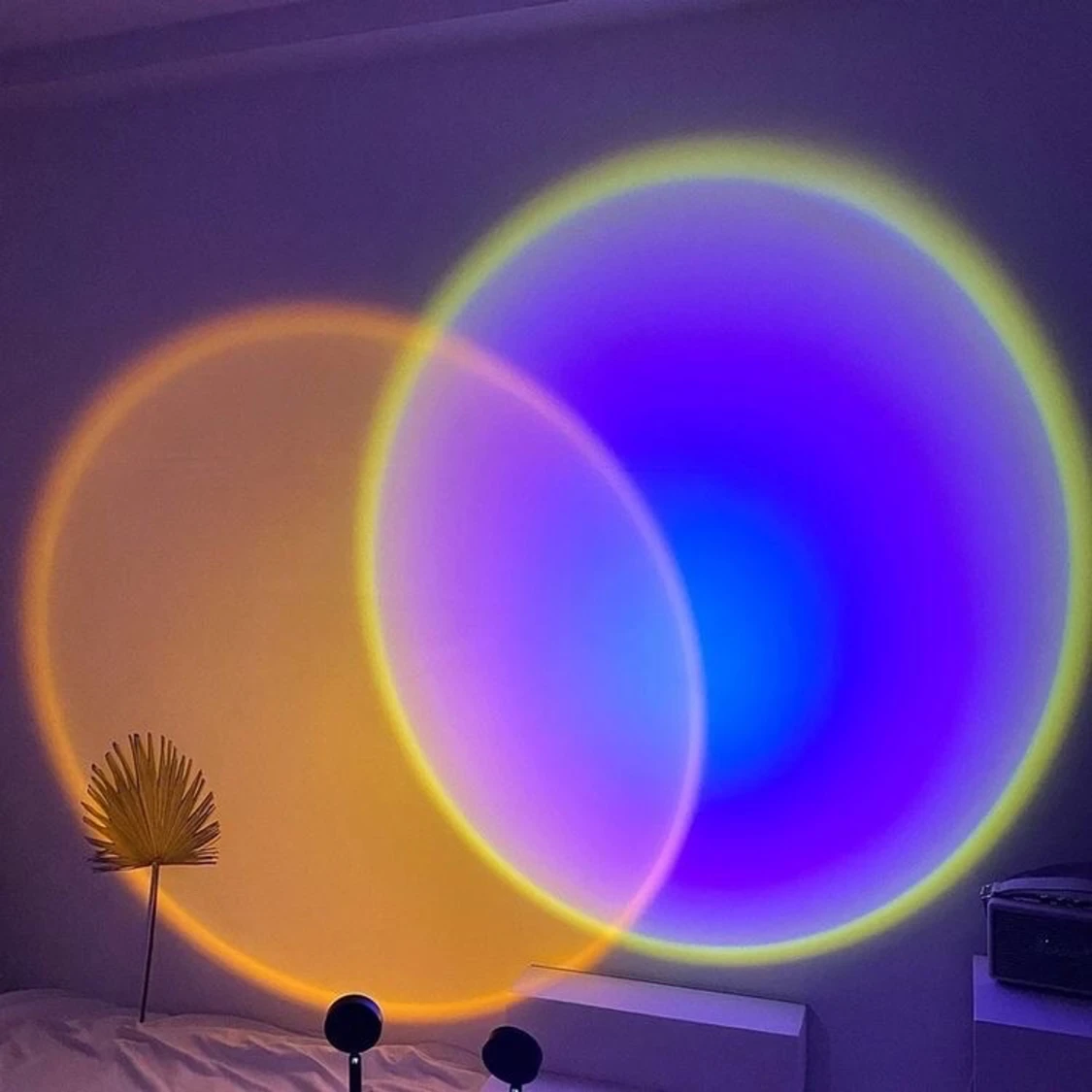 HALO LAMP