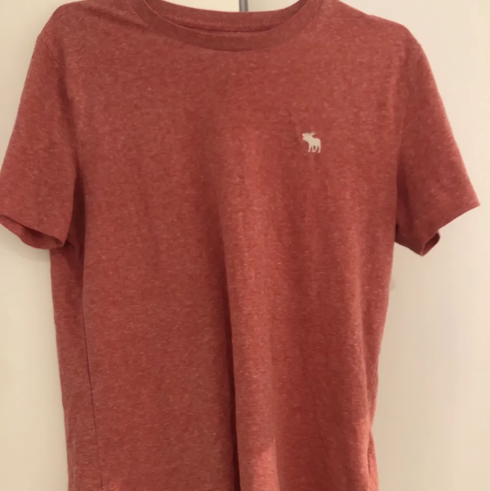 Säljer den här Abercrombie & Fitch t-shirten som köptes i New York och inte längre finns att köpas. Jätteskön och ganska stor i storleken. Skulle beskriva färgen som rosa/ röd!💖 . T-shirts.