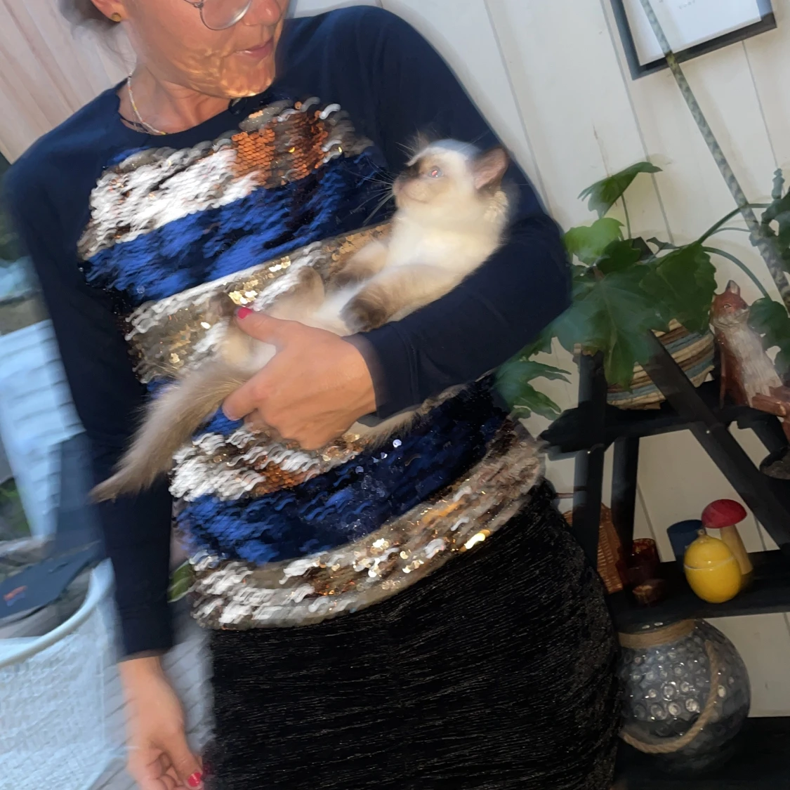 Paliette tröja - 90