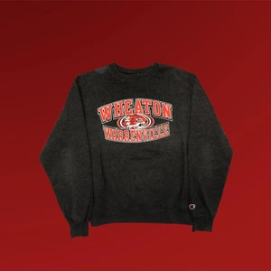 Champion Sweatshirt!! 🌱🌱 - Wheaton college sweatshirt från Champion. Storlek S och fits true to size. Tröjan är i perfekt vintage skick och har inga anmärkningar. Tveka inte att höra av dig om du undrar något! ✌🏻🌱💫