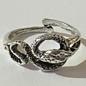Silverring I form av en orm.