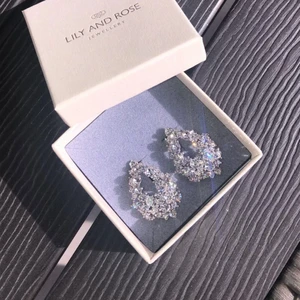 örhängen  - Öronhängen från lily and rose, nypris 499❤️ Testade 1 gång
