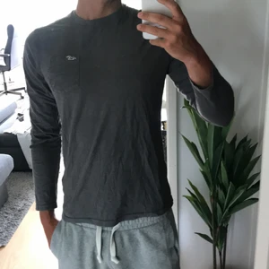 Hollistertröja storlek M - Grå Hollistertröja storlek M i fint skick. Billigare vid snabb affär.